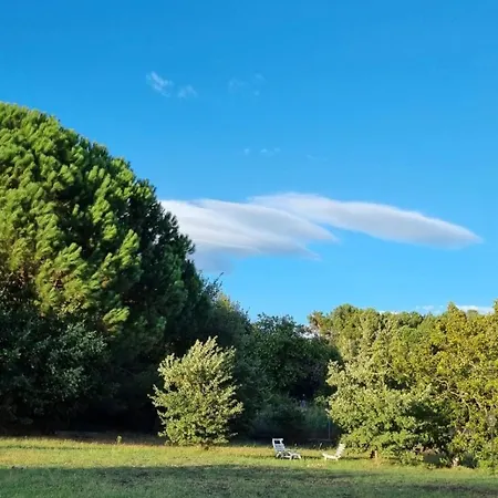 Antico Palmento Dell'etna 3*