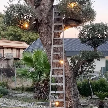 Antico Palmento Dell'etna