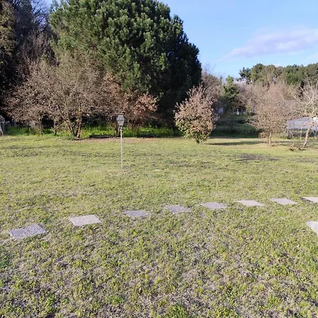 Affittacamere Antico Palmento Dell'etna Pedara