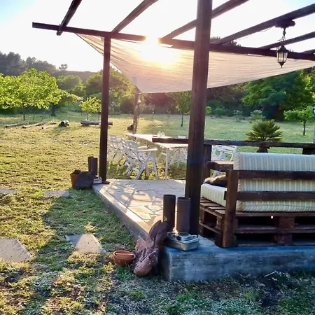 Affittacamere Antico Palmento Dell'etna