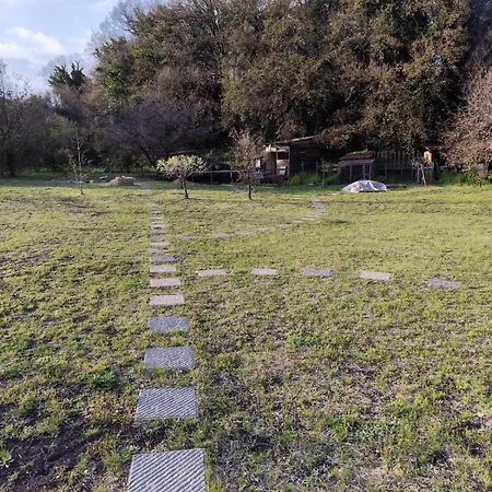Antico Palmento Dell'etna Pedara