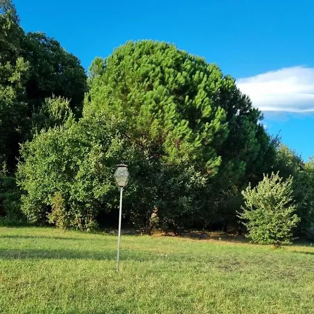 Affittacamere Antico Palmento Dell'etna