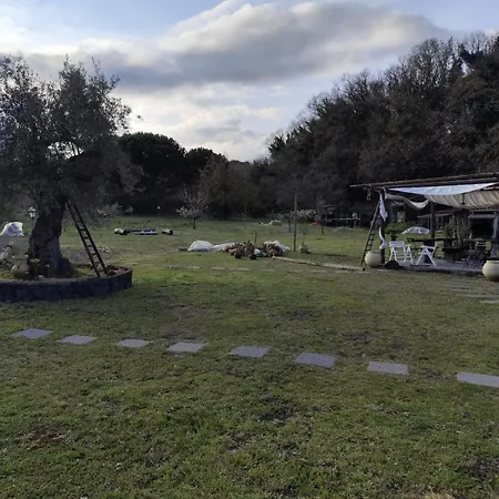 Antico Palmento Dell'etna Affittacamere