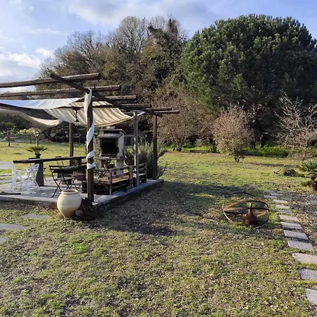 Antico Palmento Dell'etna Affittacamere