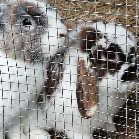 Antico Palmento Dell'etna 3* Pedara