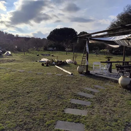 Antico Palmento Dell'etna