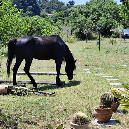 Affittacamere Antico Palmento Dell'etna 3*