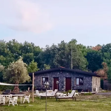 Antico Palmento Dell'etna 3*