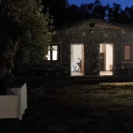 Antico Palmento Dell'etna Affittacamere Pedara